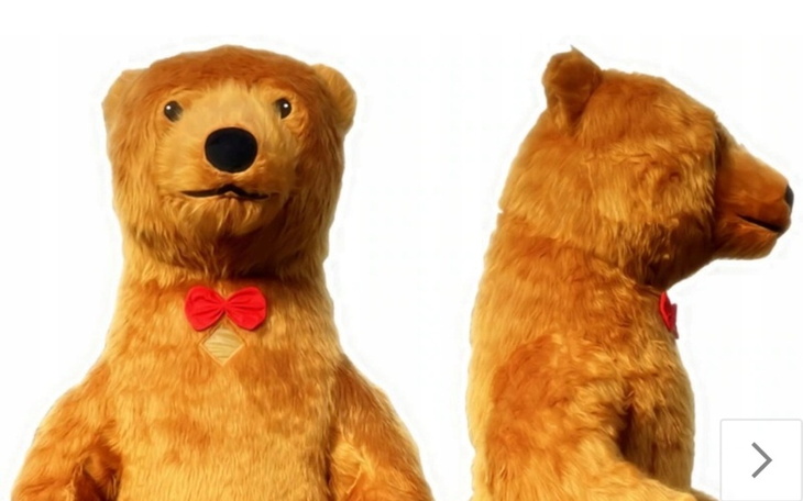 Zbiórka Charytatywny Mis - zdjęcie główne