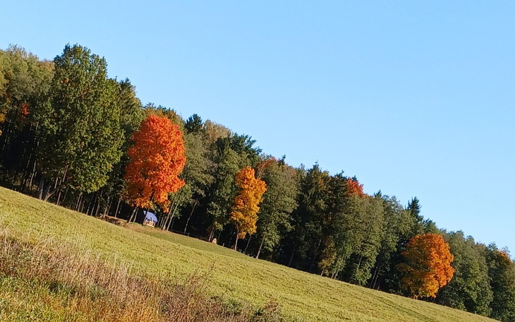 Zbiórka Problemy finansowe do 12 12 2025 - zdjęcie główne