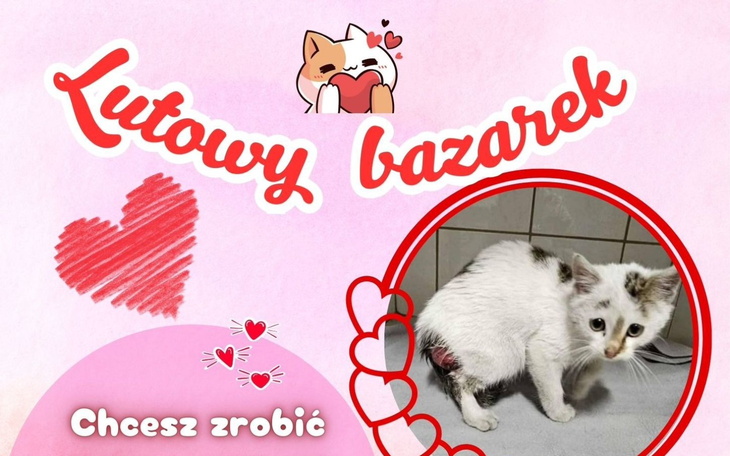 Kotek z łatką na łapie, zaprasza do lutowego bazarku.