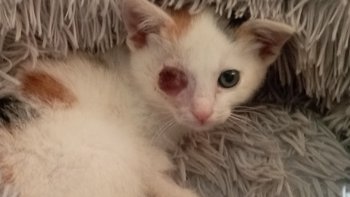 Zbiórka Maleńka Marysia prosi o cud - miniaturka zdjęcia