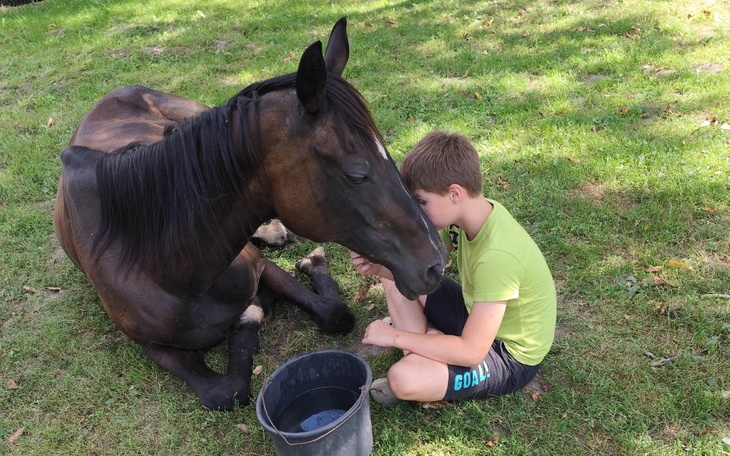 Zbiórka Rakona słynny koń wyścigowy - zdjęcie główne