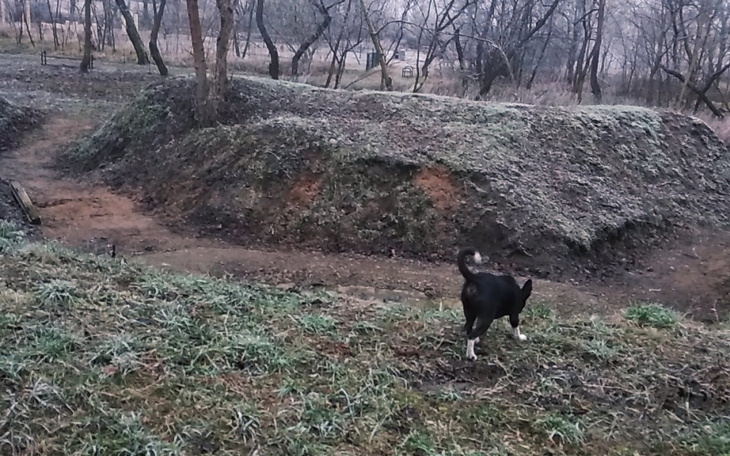 Zbiórka Karma dla zwierzka - zdjęcie główne