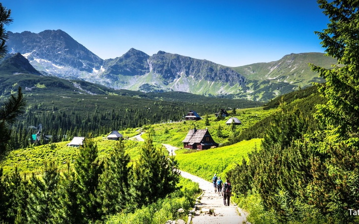 Zbiórka Proszę wesprzyj - zdjęcie główne