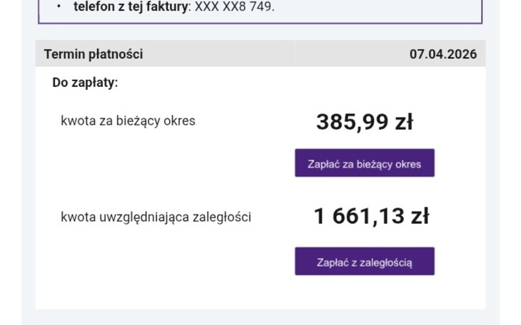 Zrzut ekranu z faktury, z kwotami do zapłaty.