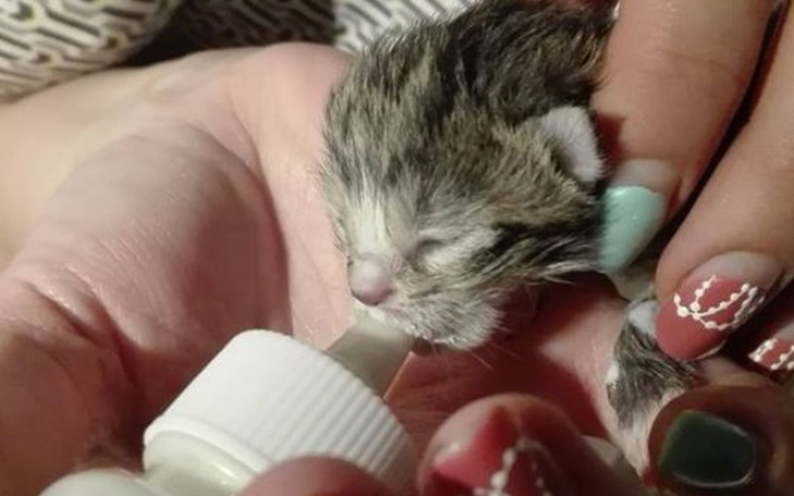 Zbiórka Skazane na śmierć?? - zdjęcie główne