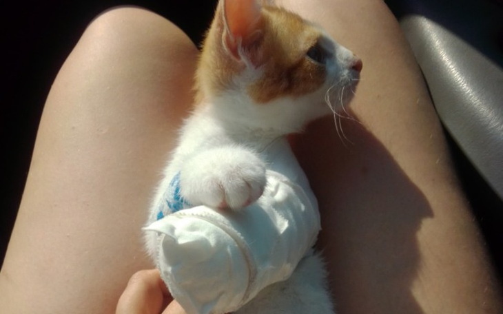 Zbiórka Rudy który chciał latać - zdjęcie główne