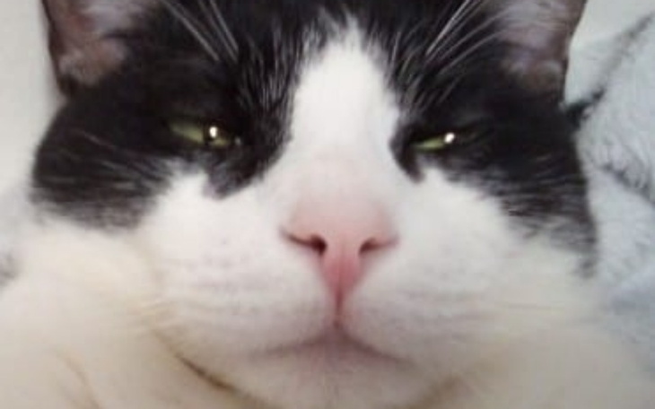 Zbiórka Na słuchawki biedna rodzina - zdjęcie główne