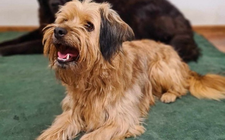 Zbiórka Cena za życie Glorii - zdjęcie główne