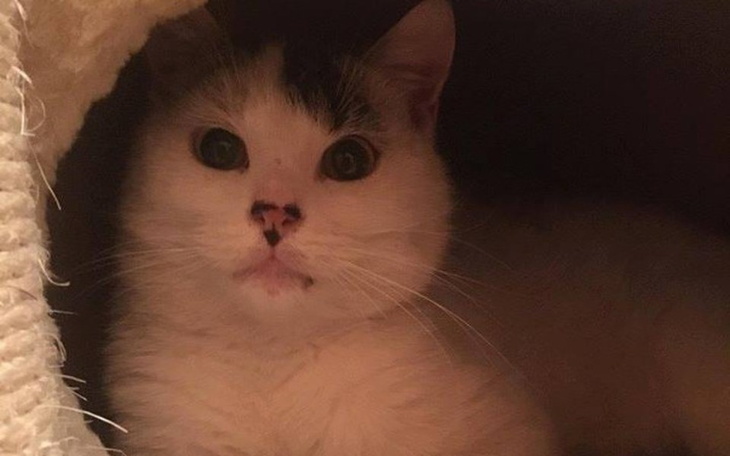 Zbiórka Na ratunek dla Kaja! - zdjęcie główne