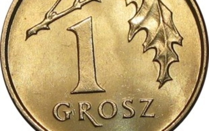 Zbiórka Grosz do grosza, a będzie kokosz - zdjęcie główne