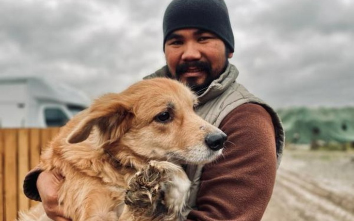 Zbiórka Pomóżmy pilnie Psom Napoleona - zdjęcie główne