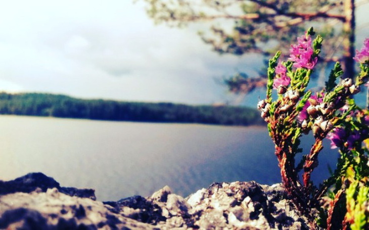 Zbiórka "Aparat Fotograficzny" - zdjęcie główne