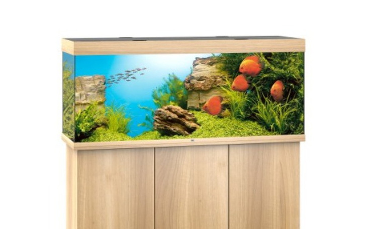 Zbiórka Akwarium moje marzenie... - zdjęcie główne