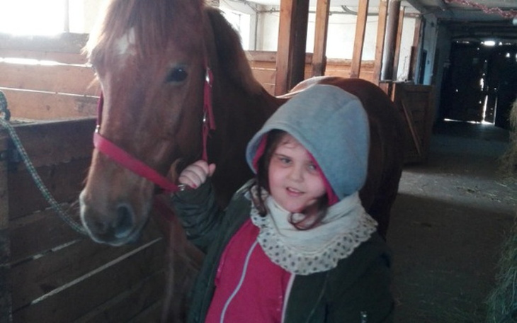 Zbiórka Leczenie i Hipoterapia Oliwki - zdjęcie główne