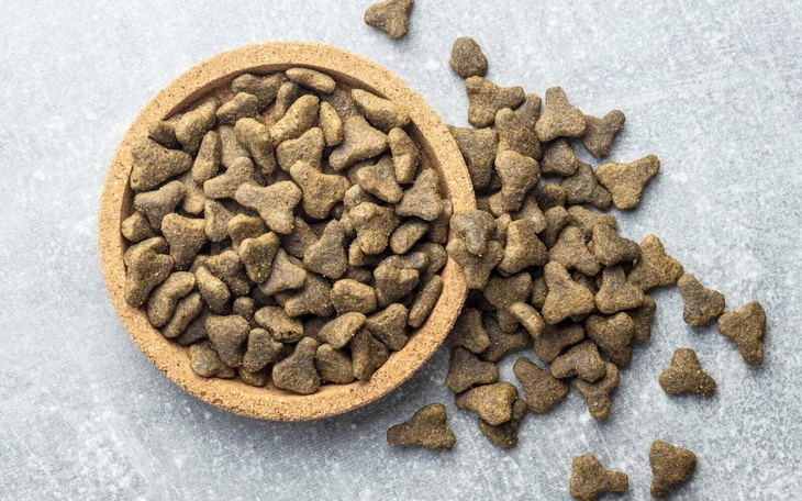 Zbiórka Karma dla zwierząt c - zdjęcie główne