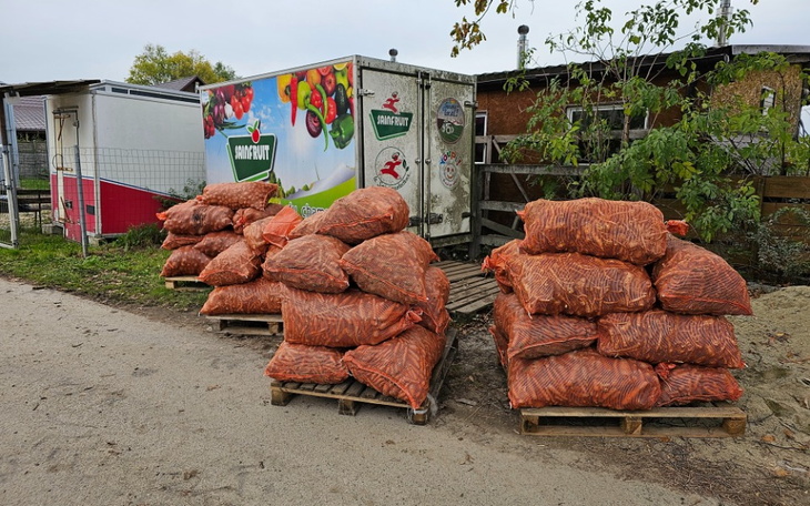 Zbiórka Kupmy wiecej warzyw - zdjęcie główne