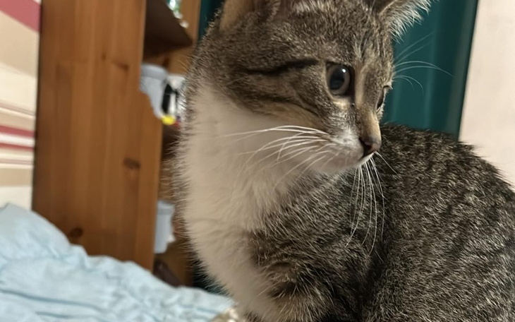 Zbiórka Zefirek - zdjęcie główne