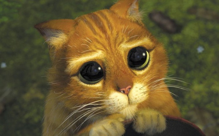 Zbiórka Strój księdza - sutanna. - zdjęcie główne