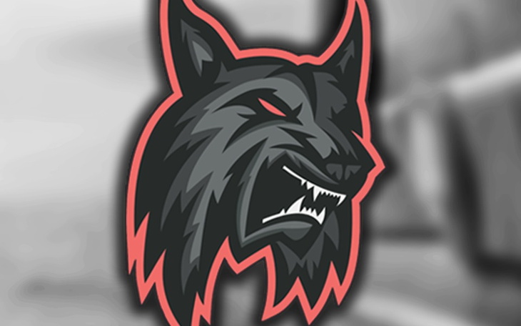 Zbiórka na rozwoj kanalu - zdjęcie główne