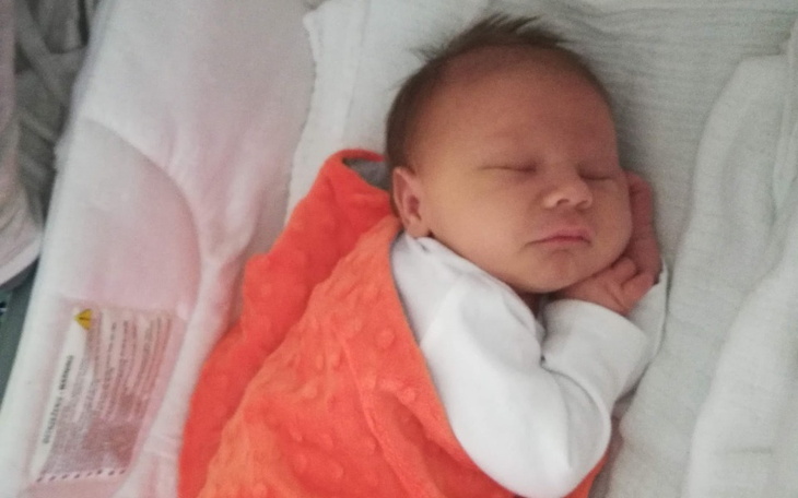 Zbiórka Oszustwo internetowe - zdjęcie główne