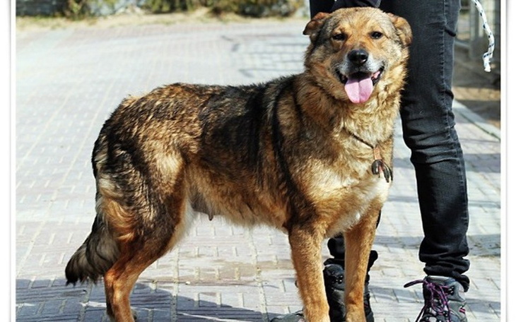 Zbiórka Wrotka, 3,5 roku w Radysach - zdjęcie główne