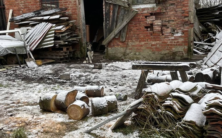 Zbiórka Przetrwamy czy nie - zdjęcie główne