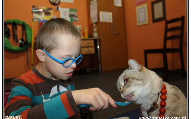 Zbiórka Rehabiliacja Szymona - zdjęcie główne