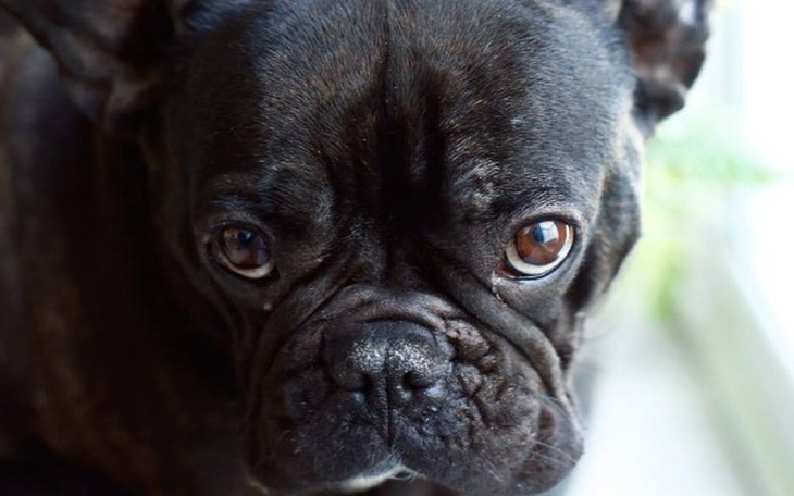 Zbiórka Naprawić okrucieństwo czlowieka - zdjęcie główne