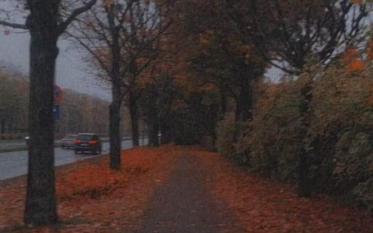 Zbiórka Zbieram na bilet do stanów - zdjęcie główne