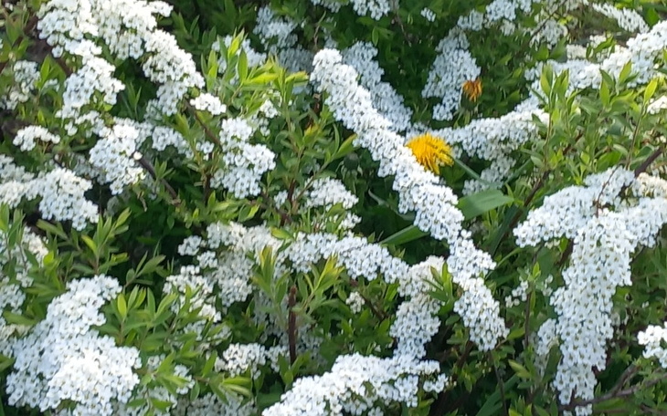 Zbiórka ............. . . . .. - zdjęcie główne