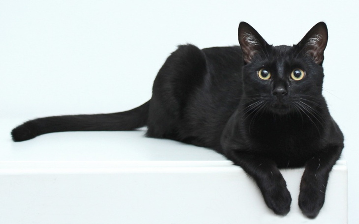 Zbiórka To nie pora na Browara - zdjęcie główne