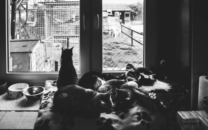 Zbiórka Przystań Ocalenie bez wody !!! - zdjęcie główne