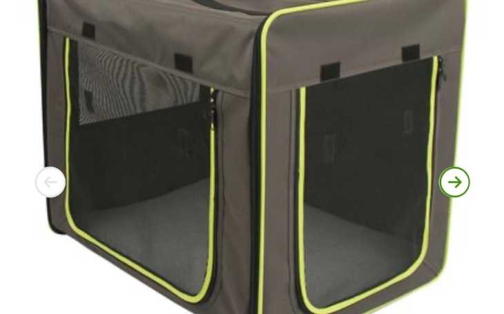 Zbiórka Zbieram na kojec dla kotów - zdjęcie główne