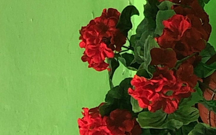 Zbiórka KoronawirusCOVID-19 - zdjęcie główne