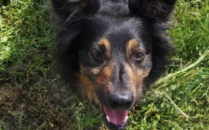 Zbiórka Ostatnia operacja Inki - zdjęcie główne