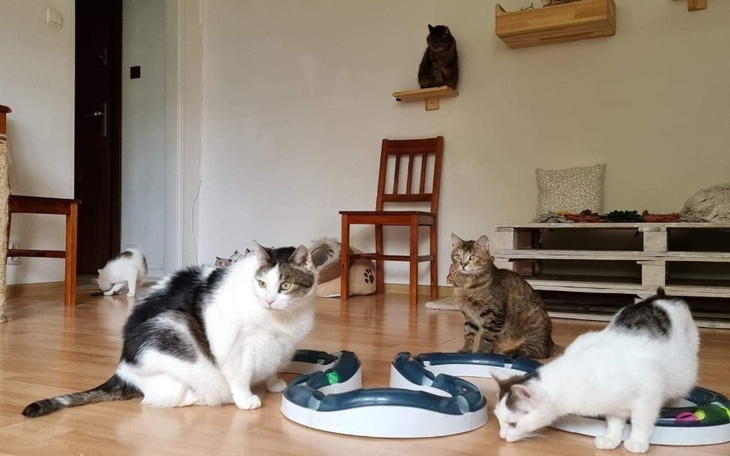 Zbiórka Wiosna w Malinowym - zdjęcie główne