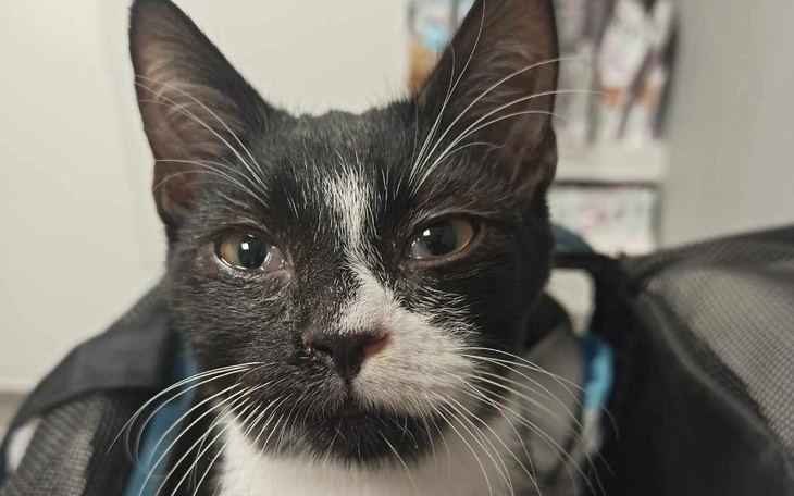 Zbiórka Naa lepszy start - zdjęcie główne