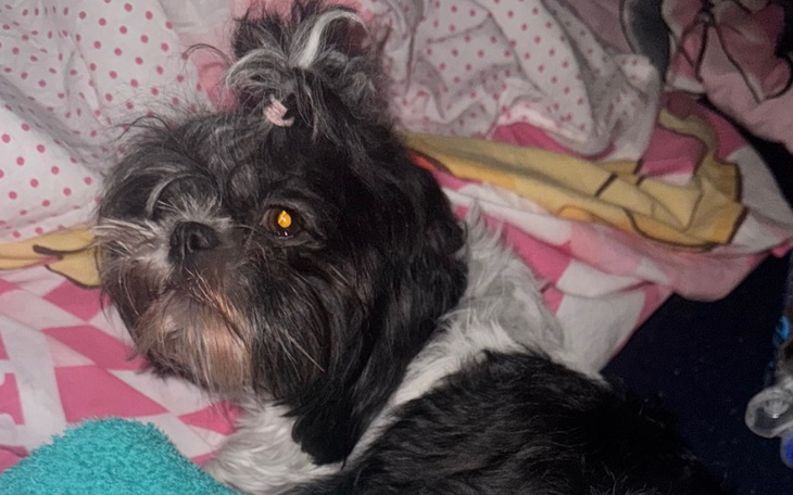 Zbiórka Na operację kręgosłupa po wypadk - zdjęcie główne