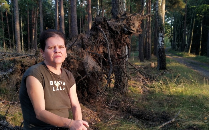 Zbiórka Remont dachu - zbiórka - zdjęcie główne