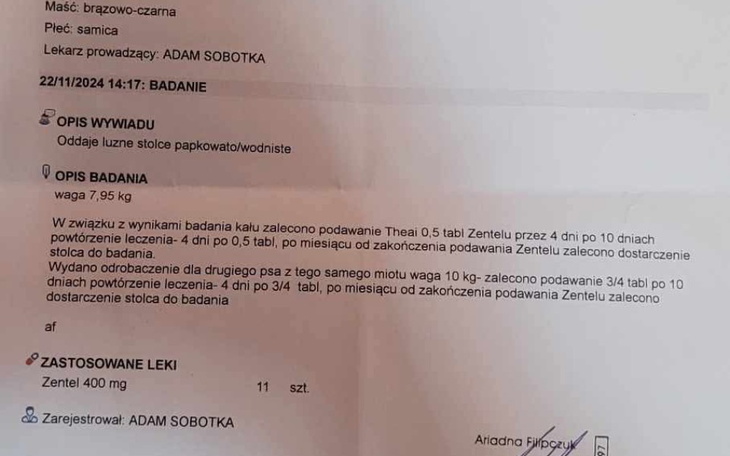 Zbiórka Leczenie giardii u szczeniąt - zdjęcie główne