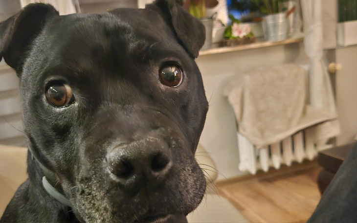 Zbiórka Koniec męki Tuptusia - zdjęcie główne