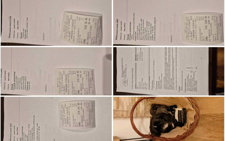 Zbiórka Operacja i leczenie pupila - zdjęcie główne