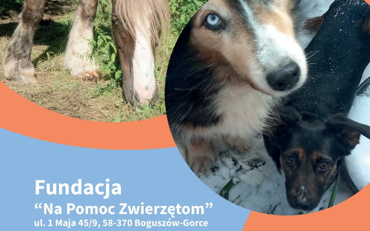 Zbiórka Kalendarze fundacji - zdjęcie główne