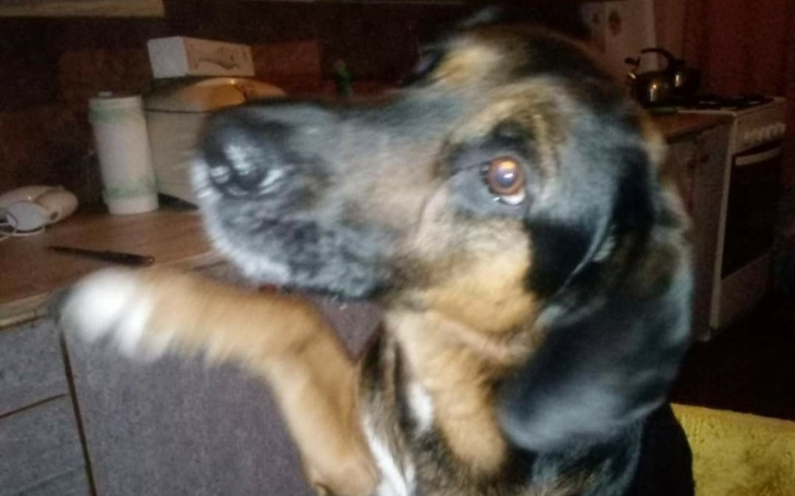 Zbiórka Zbiórka dla małego - zdjęcie główne