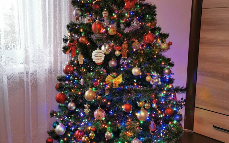 Zbiórka Ostatnie wspólne święta - zdjęcie główne