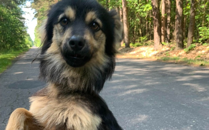 Zbiórka Zabierz mnie z lasu, Ciociu - zdjęcie główne