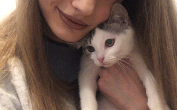 Zbiórka Leki dla kotki by znów widziała - zdjęcie główne