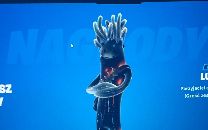 Zbiórka Na vd do fortnita - zdjęcie główne