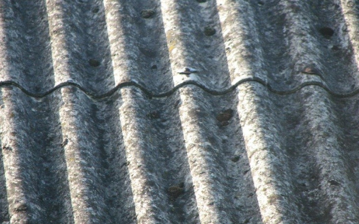 Zbiórka Na zmianę dachu, obecnie eternit - zdjęcie główne