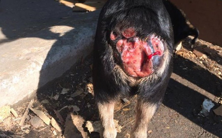 Zbiórka OKS - z nadzieją na nowe życie - zdjęcie główne